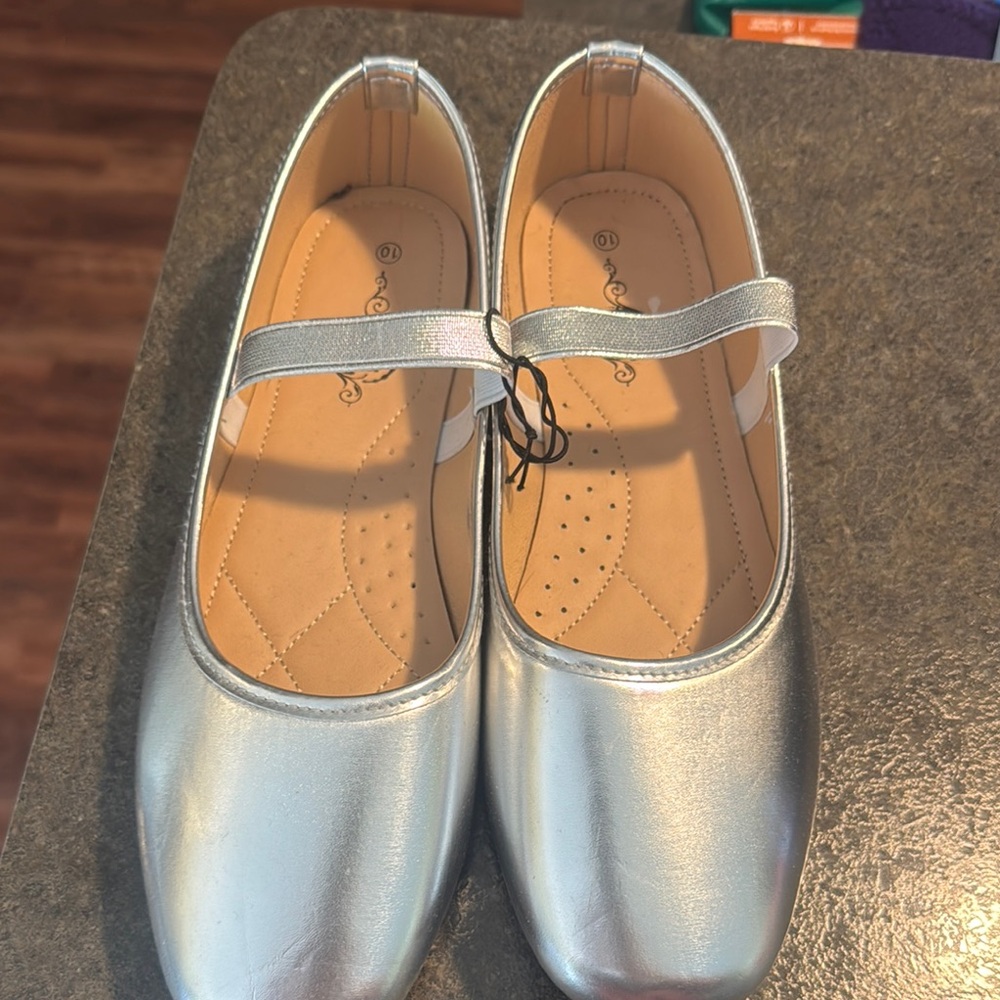 Silver Dress Shoes with Mary Jane Strap